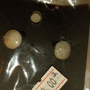 Elegant White Stud Earrings Hand Made Nebraska River Rock